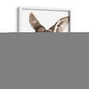 Canguro Retrato I - Jennifer Paxton Parker | Cuadro decorativo de Canvas Lab