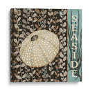 Por La Costa Ii - Jade Reynolds | Cuadro decorativo de Canvas Lab