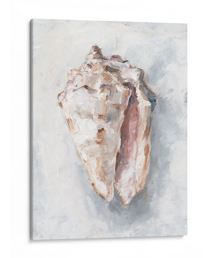 Estudio De Cáscara Blanca Ii - Ethan Harper | Cuadro decorativo de Canvas Lab