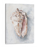 Estudio De Cáscara Blanca Ii - Ethan Harper | Cuadro decorativo de Canvas Lab