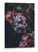 Hermosas hortensias | Cuadro decorativo de Canvas Lab