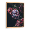 Hermosas hortensias | Cuadro decorativo de Canvas Lab