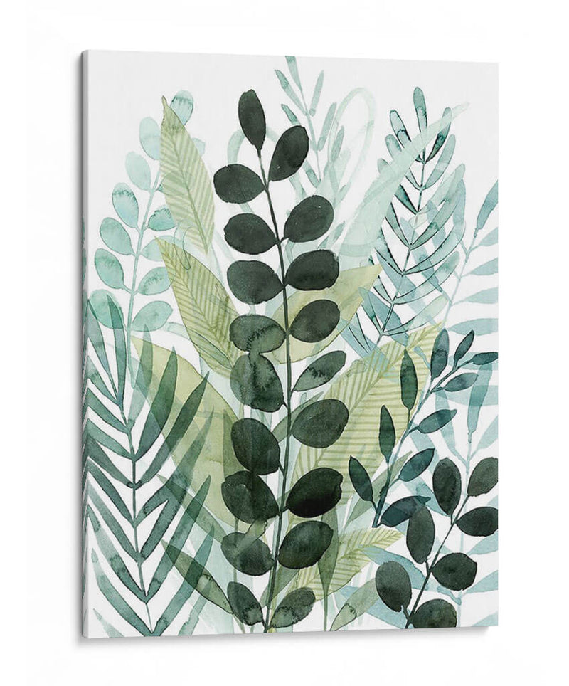 Forest Forage I - Grace Popp | Cuadro decorativo de Canvas Lab