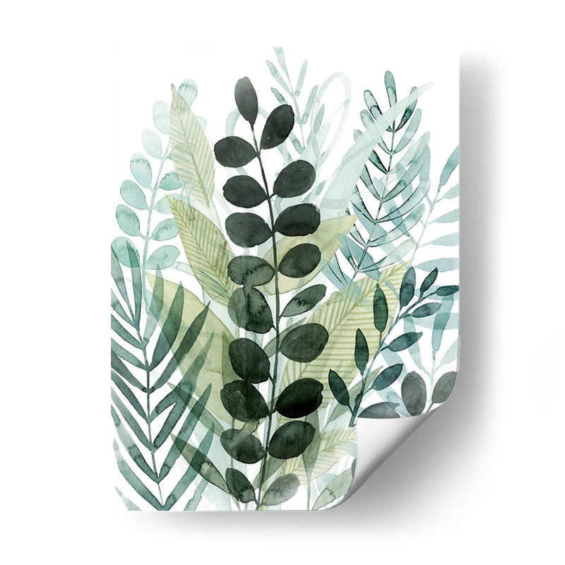 Forest Forage I - Grace Popp | Cuadro decorativo de Canvas Lab