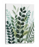 Forest Forage Ii - Grace Popp | Cuadro decorativo de Canvas Lab