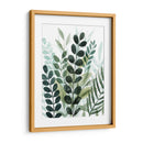 Forest Forage Ii - Grace Popp | Cuadro decorativo de Canvas Lab