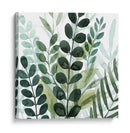 Forest Forage Iv - Grace Popp | Cuadro decorativo de Canvas Lab