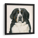 El Mejor Amigo I - Grace Popp | Cuadro decorativo de Canvas Lab