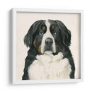 El Mejor Amigo I - Grace Popp | Cuadro decorativo de Canvas Lab