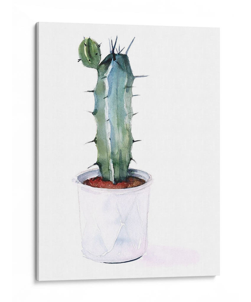 Afilados Suculentos Yo - Jennifer Paxton Parker | Cuadro decorativo de Canvas Lab