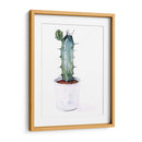 Afilados Suculentos Yo - Jennifer Paxton Parker | Cuadro decorativo de Canvas Lab