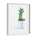 Afilados Suculents Ii - Jennifer Paxton Parker | Cuadro decorativo de Canvas Lab
