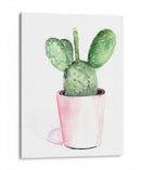 Sharp Succulents Iii - Jennifer Paxton Parker | Cuadro decorativo de Canvas Lab