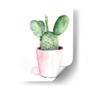 Sharp Succulents Iii - Jennifer Paxton Parker | Cuadro decorativo de Canvas Lab