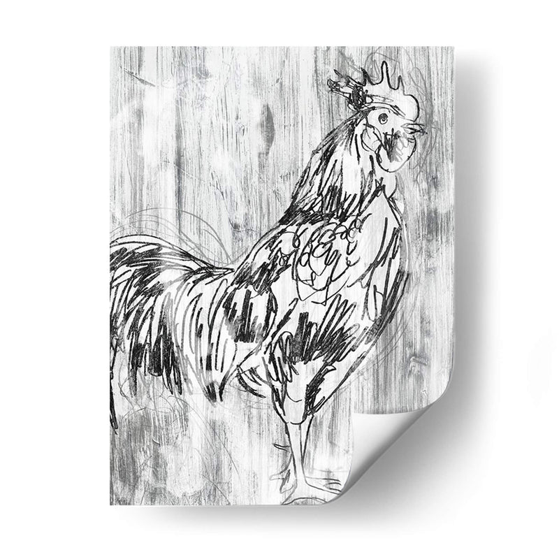 Barnwood Flock Iii - June Erica Vess | Cuadro decorativo de Canvas Lab