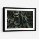 Hojas juntas | Cuadro decorativo de Canvas Lab