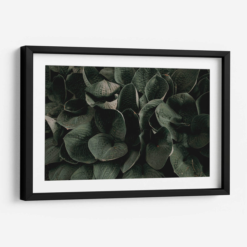 Hojas juntas | Cuadro decorativo de Canvas Lab