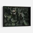 Hojas juntas | Cuadro decorativo de Canvas Lab