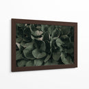 Hojas juntas | Cuadro decorativo de Canvas Lab