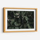 Hojas juntas | Cuadro decorativo de Canvas Lab