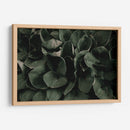 Hojas juntas | Cuadro decorativo de Canvas Lab