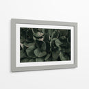 Hojas juntas | Cuadro decorativo de Canvas Lab