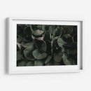 Hojas juntas | Cuadro decorativo de Canvas Lab