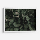 Hojas juntas | Cuadro decorativo de Canvas Lab