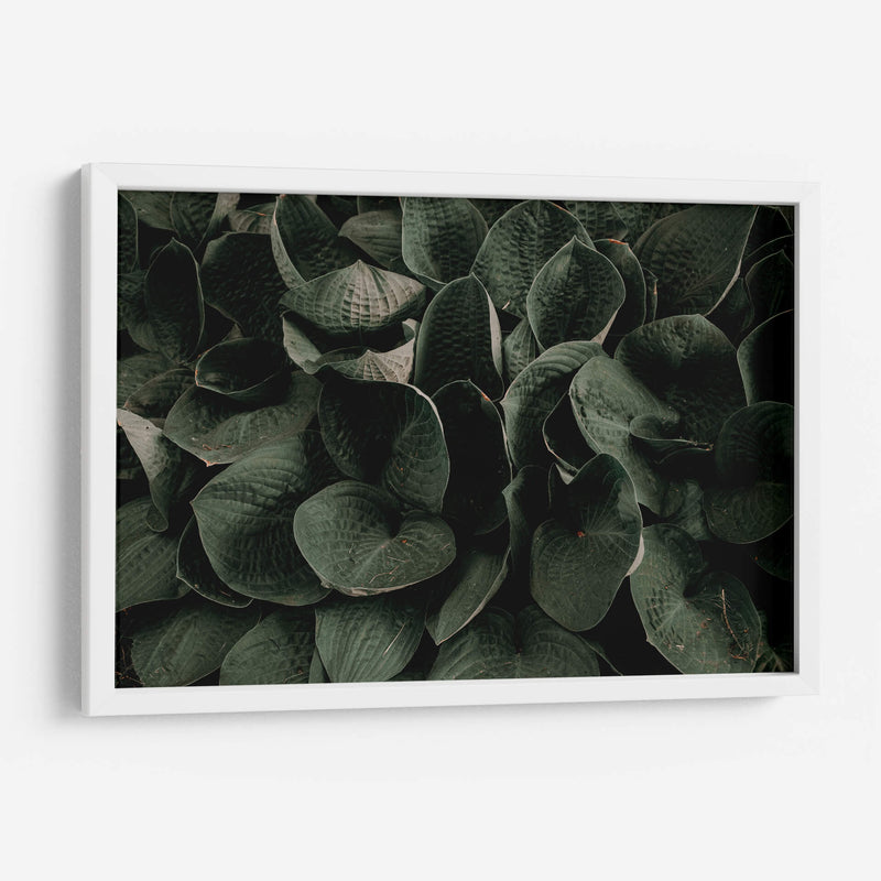 Hojas juntas | Cuadro decorativo de Canvas Lab