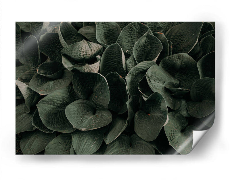 Hojas juntas | Cuadro decorativo de Canvas Lab