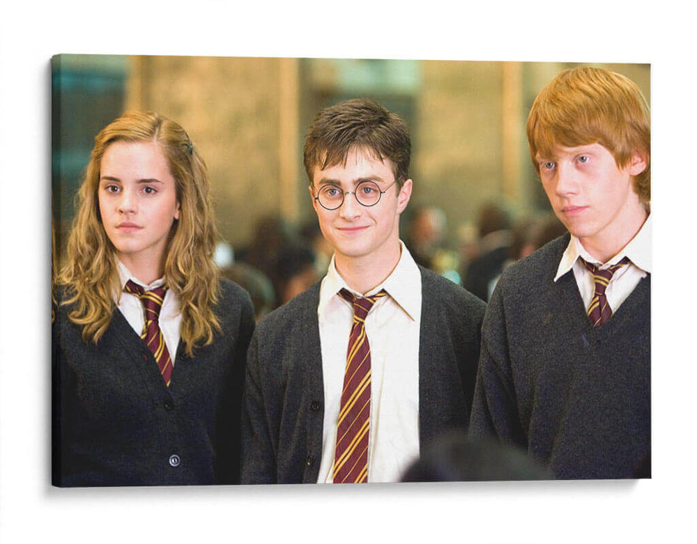 Los grandes de Gryffindor | Cuadro decorativo de Canvas Lab