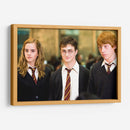 Los grandes de Gryffindor | Cuadro decorativo de Canvas Lab