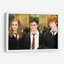 Los grandes de Gryffindor | Cuadro decorativo de Canvas Lab