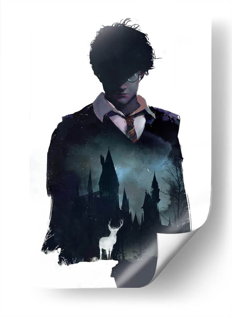 Harry en Hogwarts | Cuadro decorativo de Canvas Lab