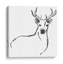 Minimo Deer Ii Ii - June Erica Vess | Cuadro decorativo de Canvas Lab