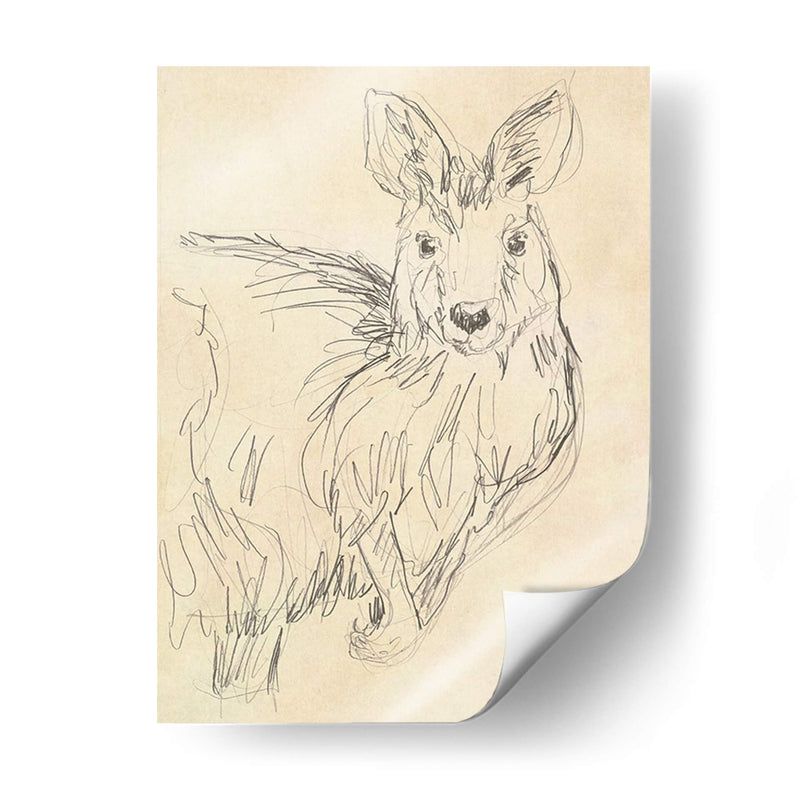 Outback Sketch Iii - June Erica Vess | Cuadro decorativo de Canvas Lab