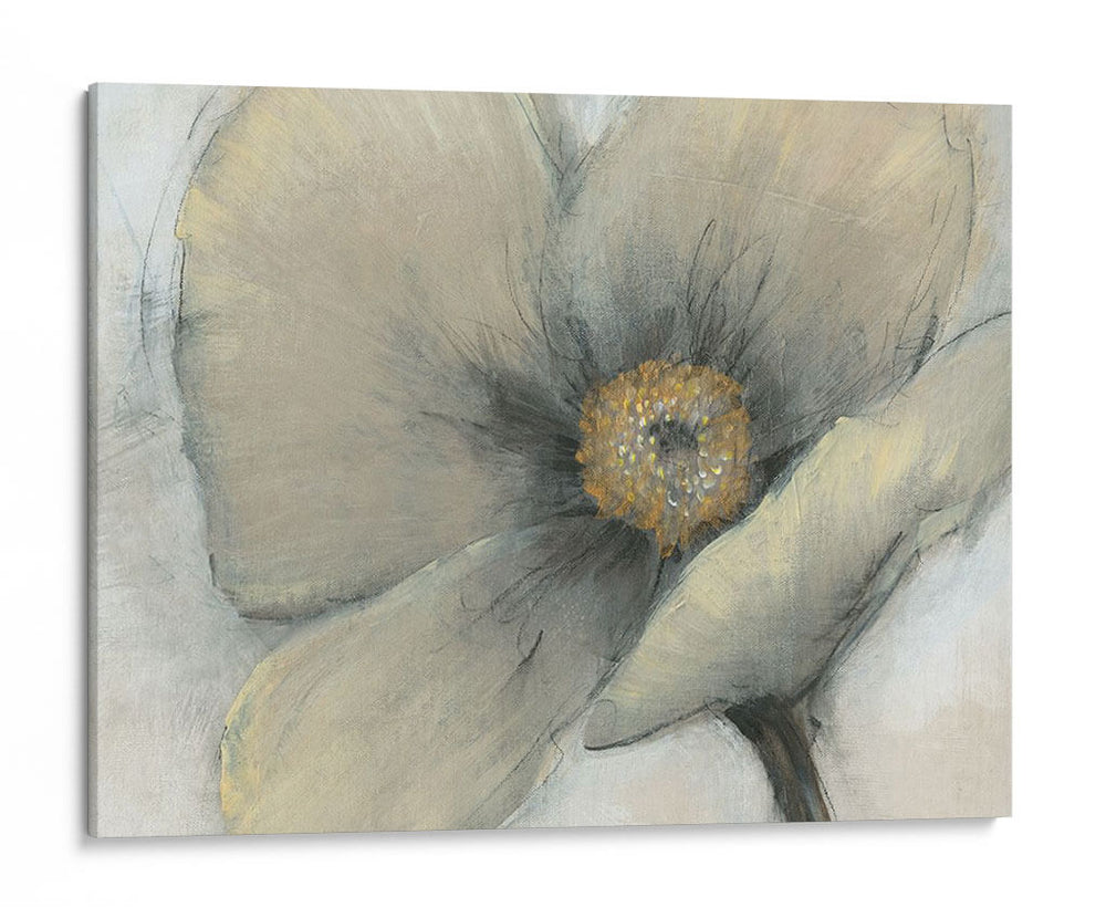 Sola Crema Floración I - Tim OToole | Cuadro decorativo de Canvas Lab