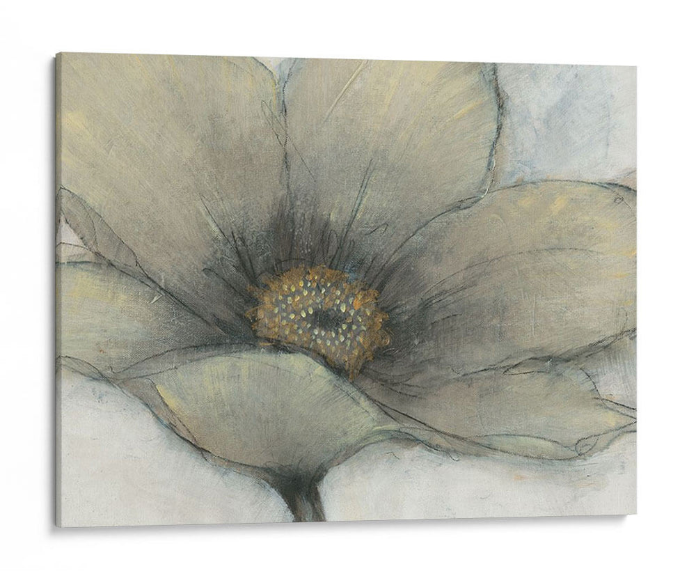 Sola Crema Bloom Ii - Tim OToole | Cuadro decorativo de Canvas Lab