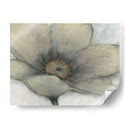 Sola Crema Bloom Ii - Tim OToole | Cuadro decorativo de Canvas Lab