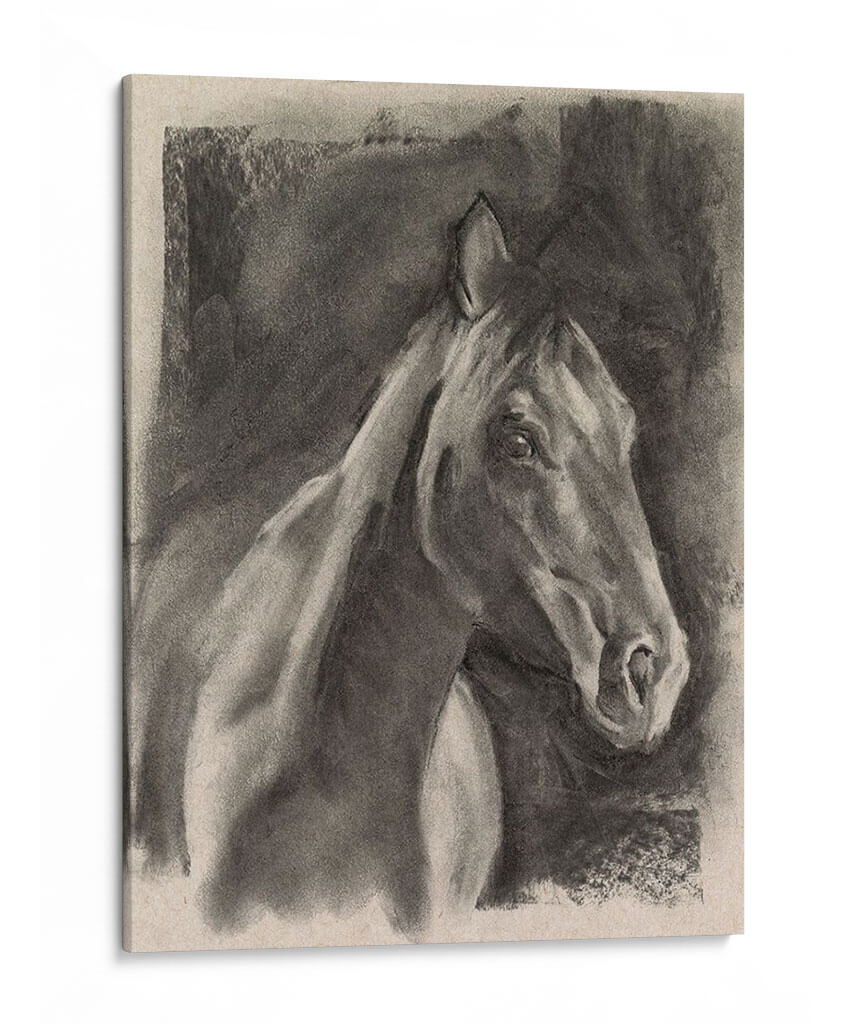 Estudio De Caballos De Carbón En Gris I - Jennifer Paxton Parker | Cuadro decorativo de Canvas Lab