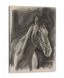 Estudio De Caballos De Carbón En Gris I - Jennifer Paxton Parker | Cuadro decorativo de Canvas Lab