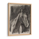 Estudio De Caballos De Carbón En Gris I - Jennifer Paxton Parker | Cuadro decorativo de Canvas Lab