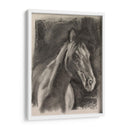 Estudio De Caballos De Carbón En Gris I - Jennifer Paxton Parker | Cuadro decorativo de Canvas Lab