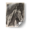 Estudio De Caballos De Carbón En Gris I - Jennifer Paxton Parker | Cuadro decorativo de Canvas Lab