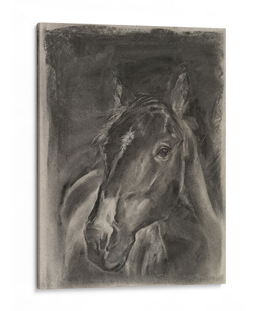 Estudio De Caballos De Carbón En Gris Ii - Jennifer Paxton Parker | Cuadro decorativo de Canvas Lab