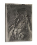 Estudio De Caballos De Carbón En Gris Ii - Jennifer Paxton Parker | Cuadro decorativo de Canvas Lab