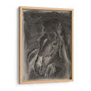 Estudio De Caballos De Carbón En Gris Ii - Jennifer Paxton Parker | Cuadro decorativo de Canvas Lab