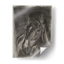 Estudio De Caballos De Carbón En Gris Ii - Jennifer Paxton Parker | Cuadro decorativo de Canvas Lab