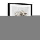 Ovejas Esponjas Ii - Ethan Harper | Cuadro decorativo de Canvas Lab
