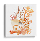 Nautilus Agrupando I - Jacob Green | Cuadro decorativo de Canvas Lab